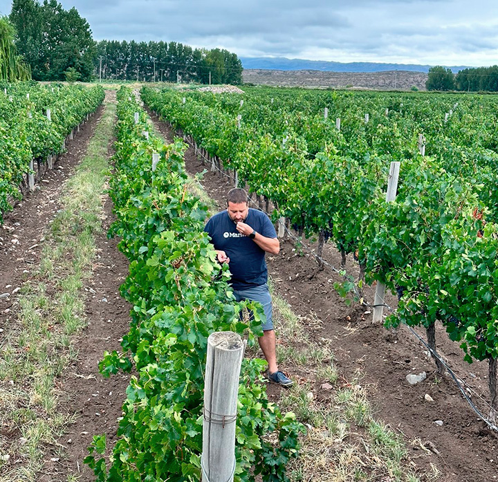 Enología sin reglas - Bira Wines